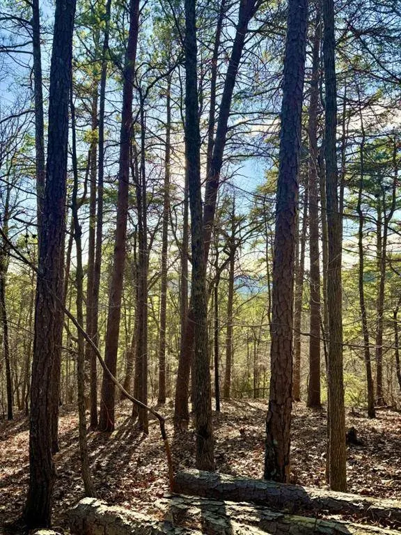 334 Packet CT, Ranger, GA 30734