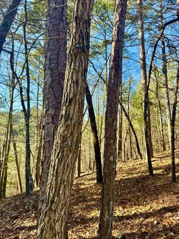 334 Packet CT, Ranger, GA 30734