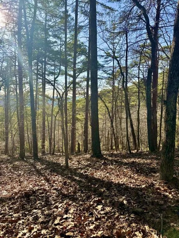 335 Packet CT, Ranger, GA 30734