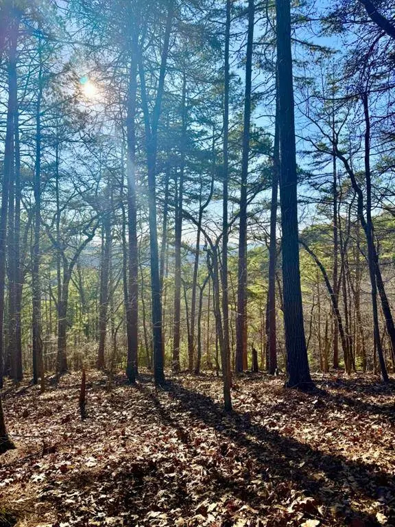 334 Packet CT, Ranger, GA 30734