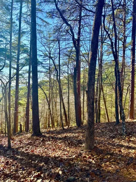 334 Packet CT, Ranger, GA 30734