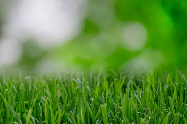 4 Landscaping Improvements That Make a Huge Difference,Bonnie Mullinax