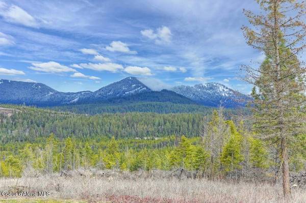 152 TRAILS END ROAD, Athol, ID 83801