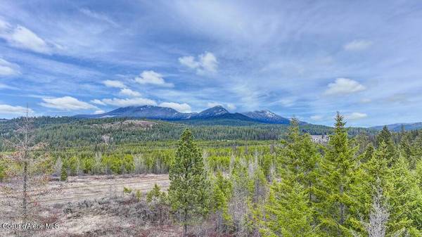 152 TRAILS END ROAD, Athol, ID 83801