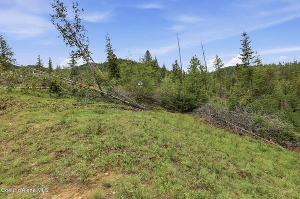 120 BLAZING SADDLE CT, Pinehurst, ID 83850