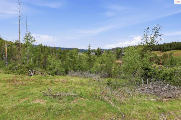 120 BLAZING SADDLE CT, Pinehurst, ID 83850