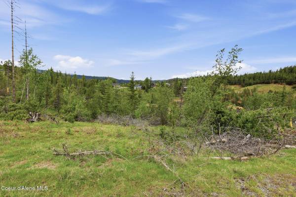 120 BLAZING SADDLE CT, Pinehurst, ID 83850