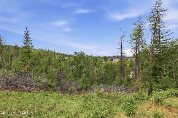 120 BLAZING SADDLE CT, Pinehurst, ID 83850