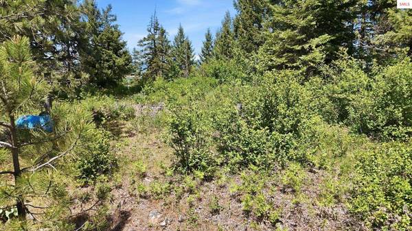 NNA S AURORA LN, Worley, ID 83876