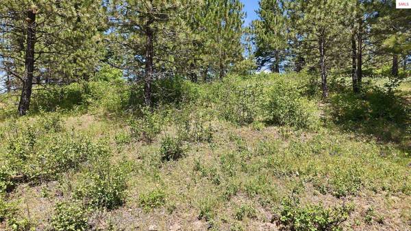 NNA S AURORA LN, Worley, ID 83876