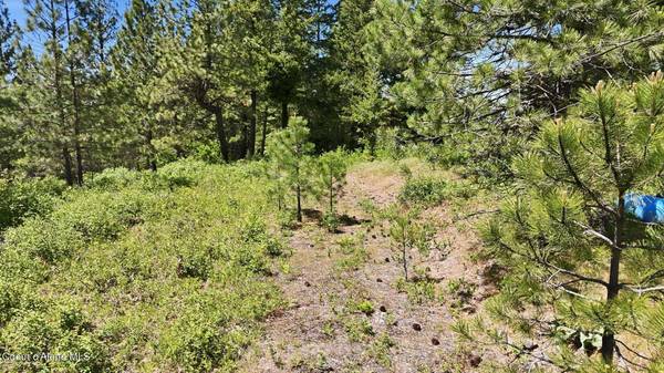 NNA S AURORA LN, Worley, ID 83876