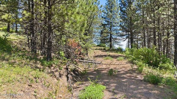 NNA S AURORA LN, Worley, ID 83876
