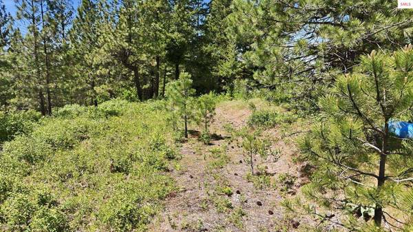 NNA S AURORA LN, Worley, ID 83876