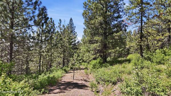 NNA S AURORA LN, Worley, ID 83876