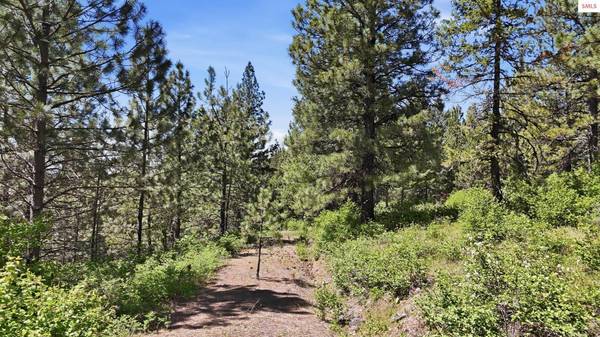 NNA S AURORA LN, Worley, ID 83876