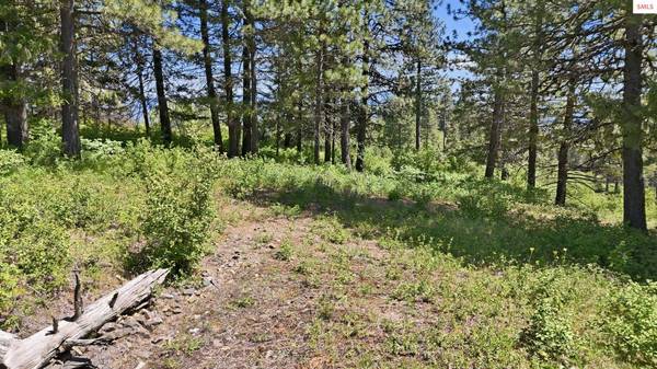 NNA S AURORA LN, Worley, ID 83876
