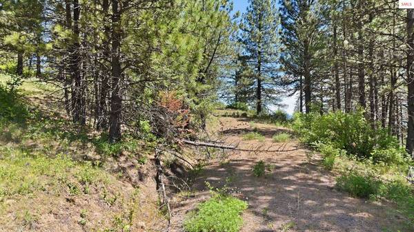 NNA S AURORA LN, Worley, ID 83876