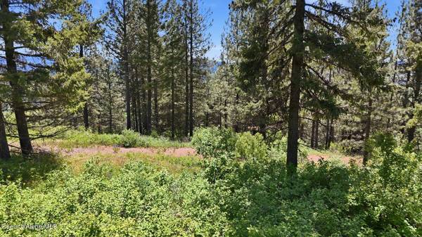 NNA S AURORA LN, Worley, ID 83876