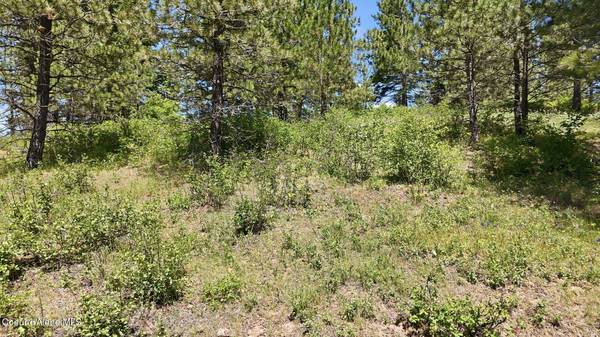 NNA S AURORA LN, Worley, ID 83876