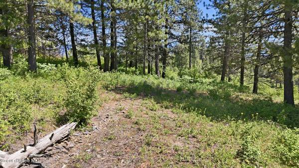 NNA S AURORA LN, Worley, ID 83876