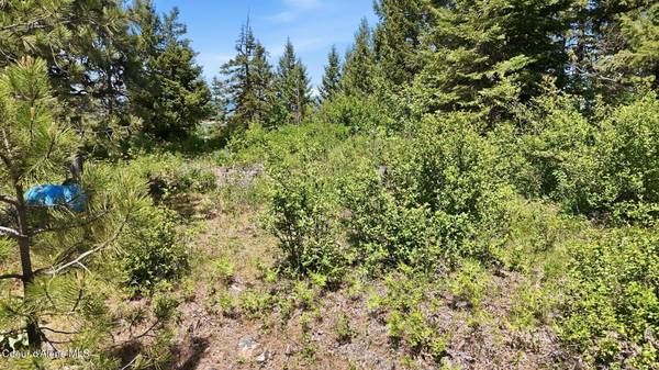 NNA S AURORA LN, Worley, ID 83876