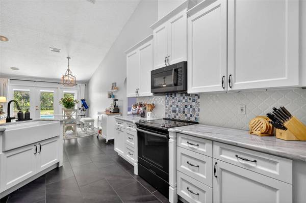 33043 WINDY OAK ST, Sorrento, FL 32776