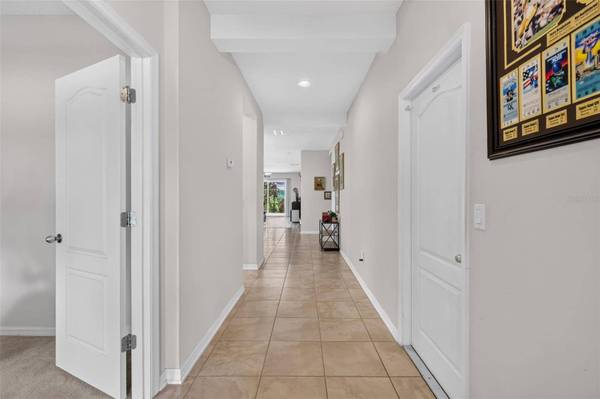 3115 ZANDER DR, Grand Island, FL 32735