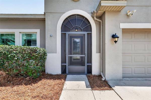 3115 ZANDER DR, Grand Island, FL 32735
