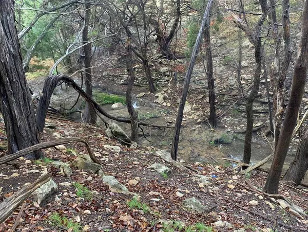 2005 Hells Gate Loop, Strawn, TX 76475