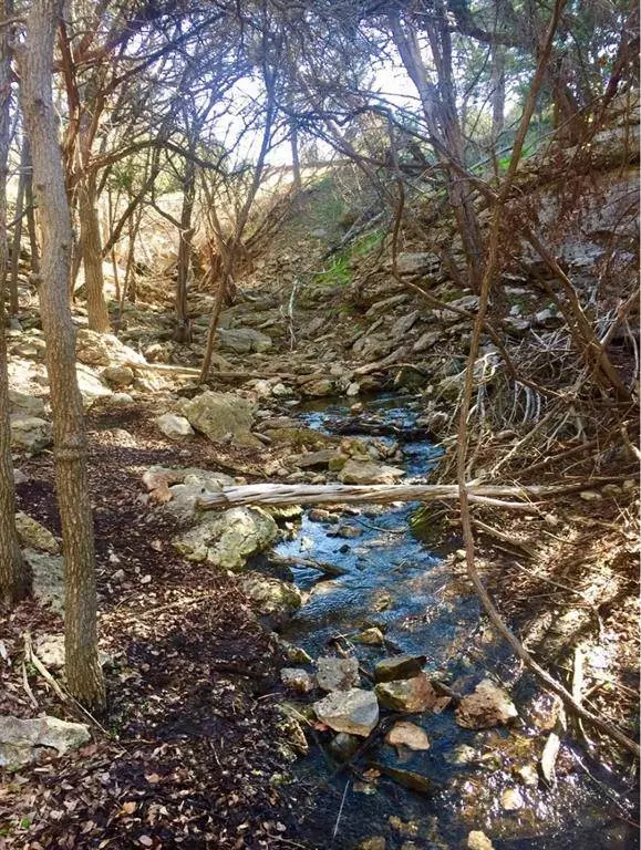 2005 Hells Gate Loop, Strawn, TX 76475