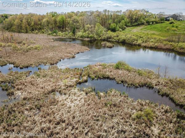 3003 Bogues View DR, Oceola Township, MI 48843