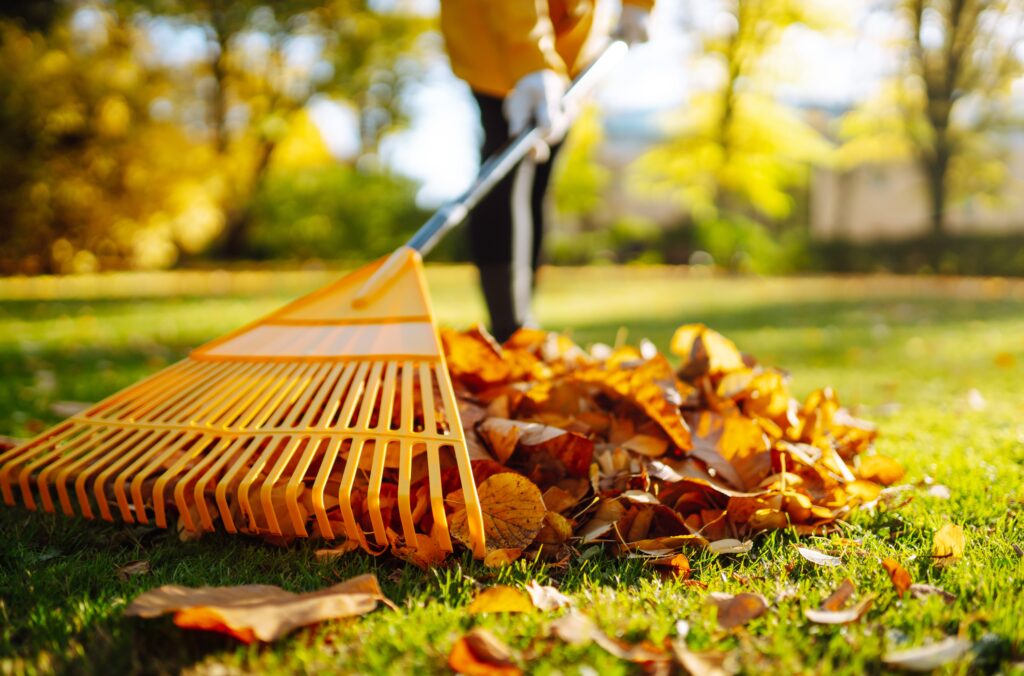 Fall home maintenance in Madison WI - homeowner raking autumn leaves with orange rake on sunny day