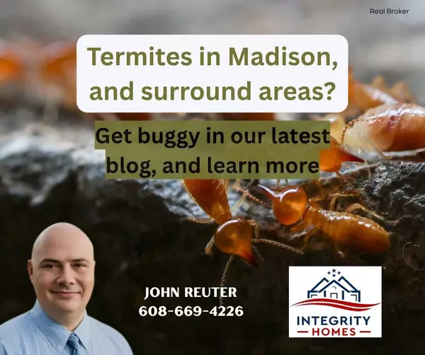 Termites in Madison, Wisconsin: Complete Guide for Homeowners in 2025
