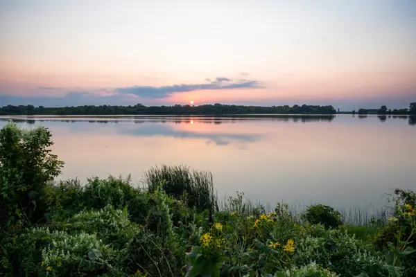 How Fast Are Homes Selling in Sun Prairie, Wisconsin? (May 2026),John Reuter