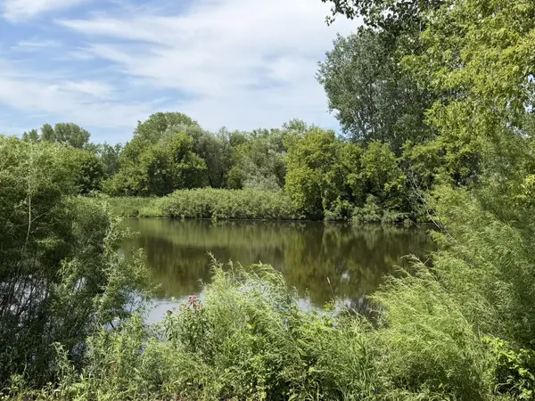 feature image of 8 Best Things to Do in Waunakee, WI: A Local's Guide