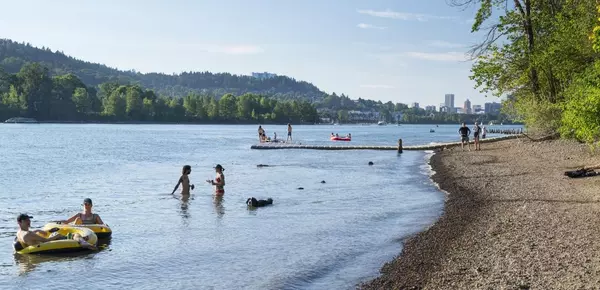 Neighborhood Guide: Sellwood-Moreland 