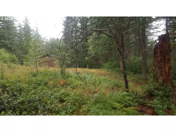 32218 NE 86TH ST, Camas, WA 98607