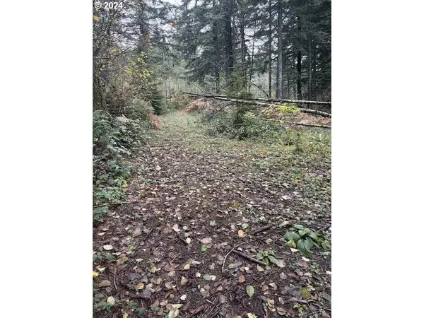 32218 NE 86TH ST, Camas, WA 98607