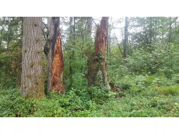 32218 NE 86TH ST, Camas, WA 98607