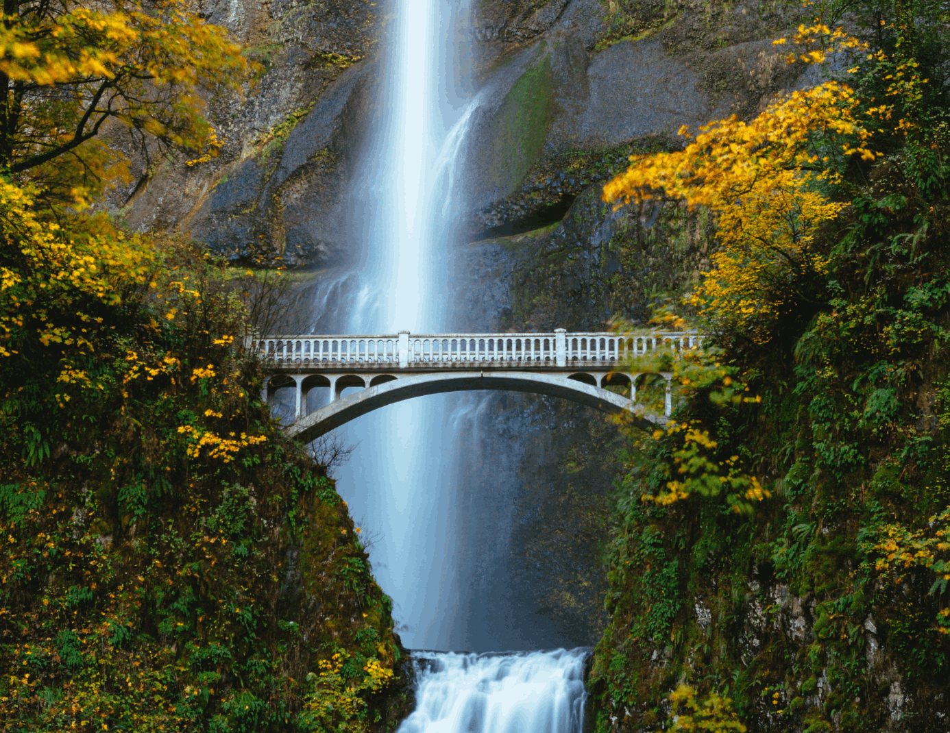 Newsletter photo templates (10)