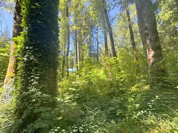 65425 E TIMBERLINE DR, Rhododendron, OR 97049