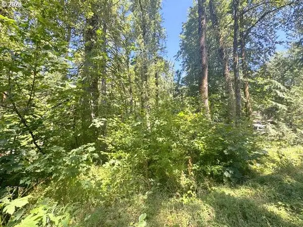 65425 E TIMBERLINE DR, Rhododendron, OR 97049