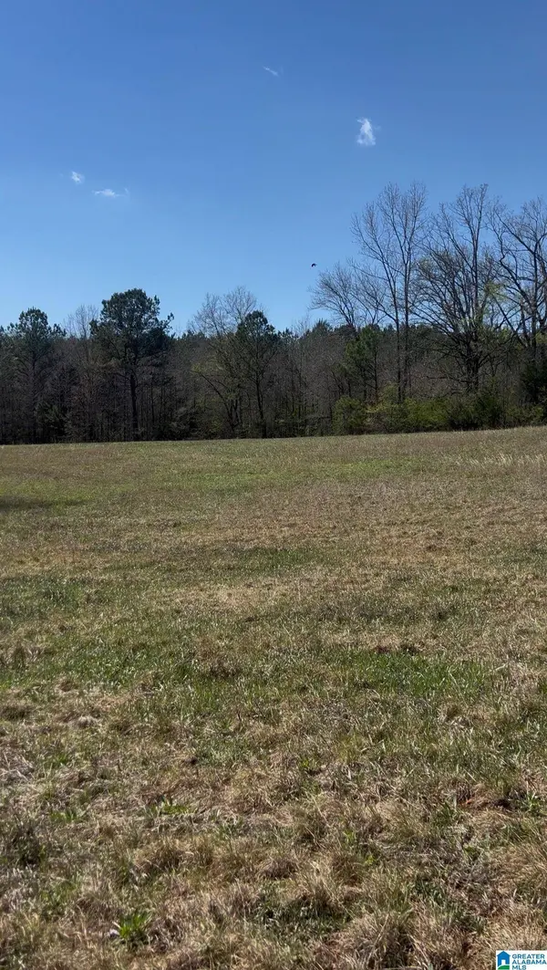 2122 COUNTY ROAD 42 #NA, Calera, AL 35040