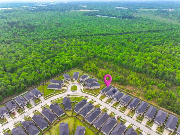 10598 Wild Chives, Conroe, TX 77385
