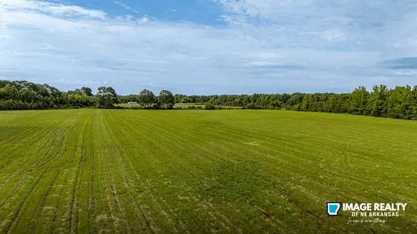 Buying Land in Arkansas: What You Need to Know Before You Purchase