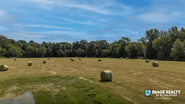 Buying a Farm in Northeast Arkansas: What to Consider Before You Buy