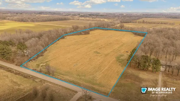 Understanding Property Boundaries Before Buying Land in Arkansas,Image Realty NEA