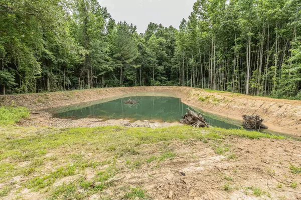 283 Greene 562 Road, Paragould, AR 72436