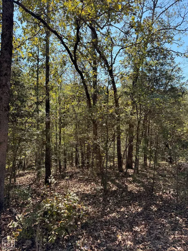 119 Edna Avenue, Hardy, AR 72542