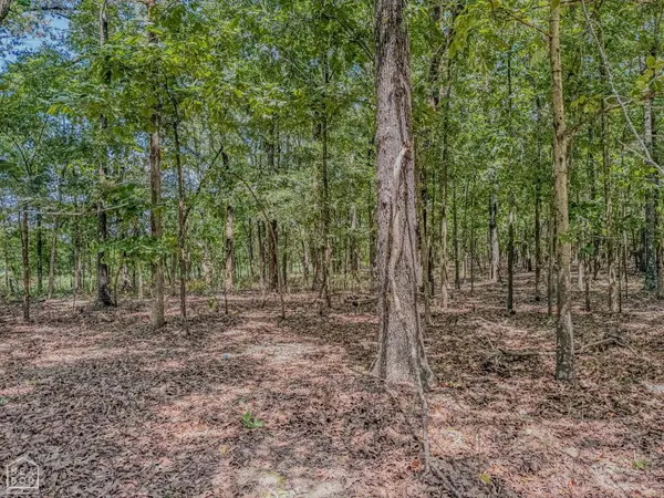 2100 Greene 514 Road, Paragould, AR 72450
